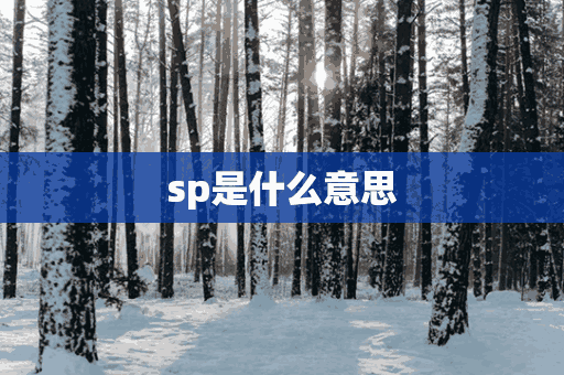 sp是什么意思(sp是什么意思字母圈 sp是什么英文缩写)